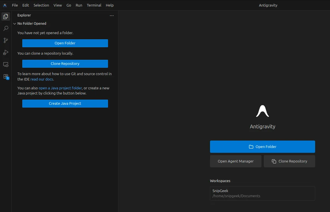 Antigravity editor window on Linux during a test session.