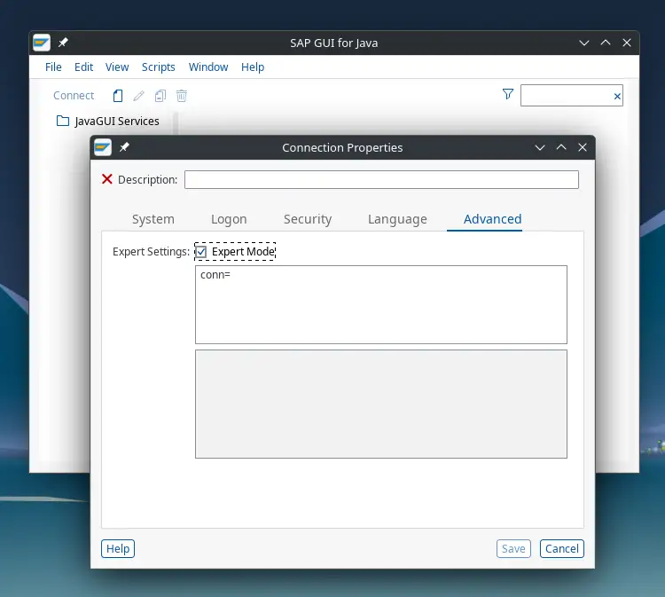 Configuring expert mode connection string in SAP GUI Java.